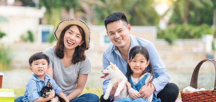 An Asian family plays with a Shiba Inu dog. Family has father, mother and son, daughter. Picnicking in the garden.